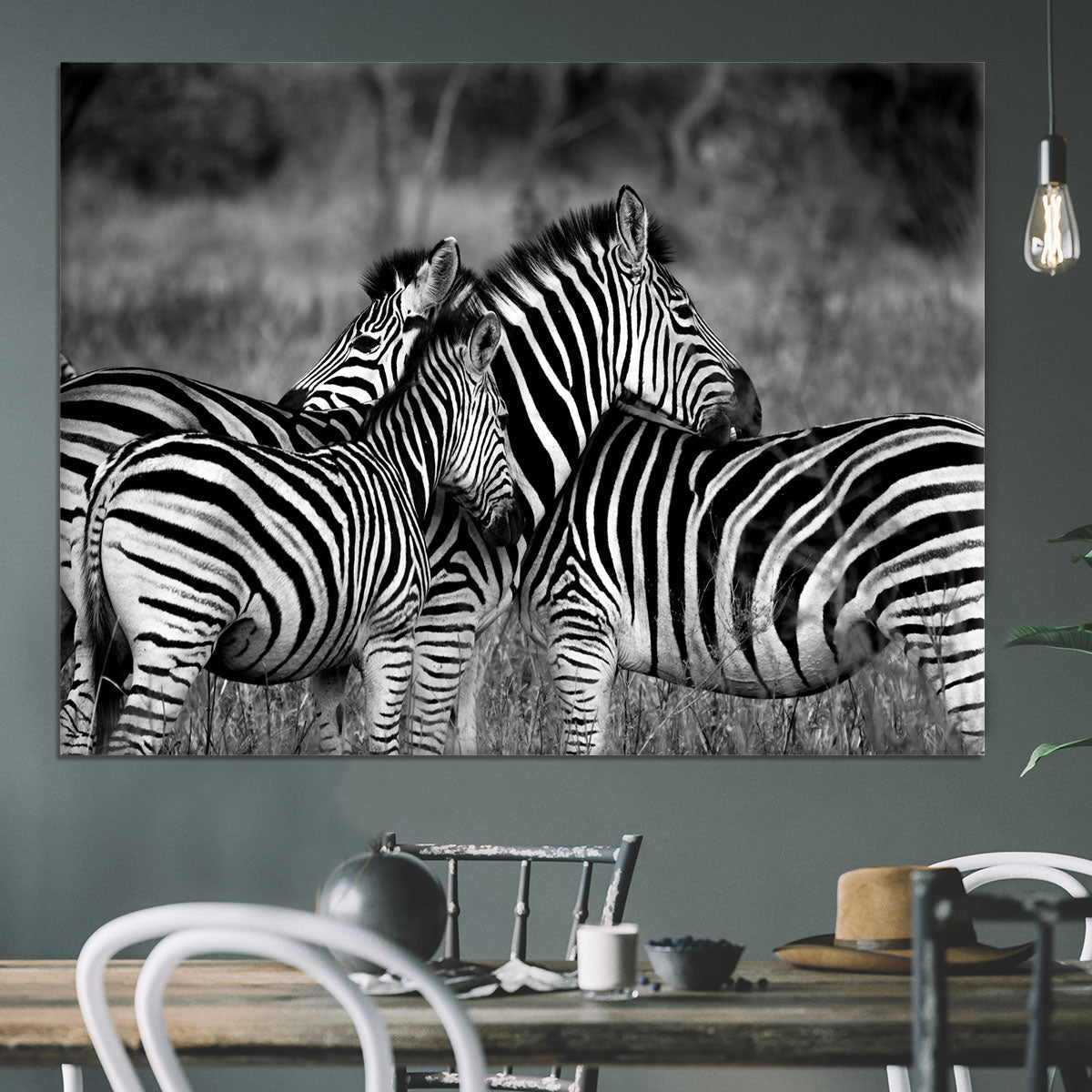 Black and White Zebra Canvas Print or Poster - Canvas Art Rocks - 3