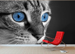 Black and white close up of cat with deep blue eyes Wall Mural Wallpaper - Canvas Art Rocks - 2