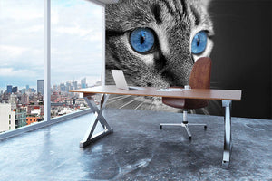 Black and white close up of cat with deep blue eyes Wall Mural Wallpaper - Canvas Art Rocks - 3