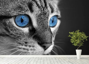 Black and white close up of cat with deep blue eyes Wall Mural Wallpaper - Canvas Art Rocks - 4