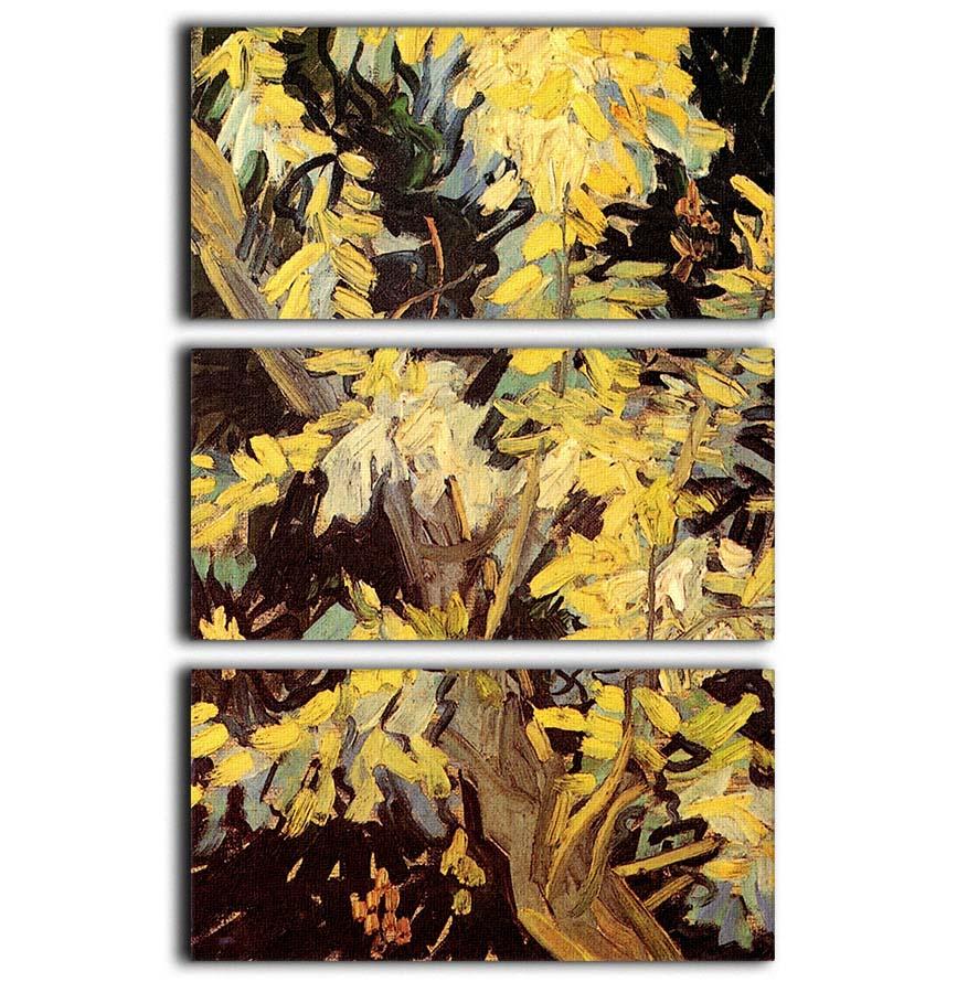 Blossoming Acacia Branches by Van Gogh 3 Split Panel Canvas Print - Canvas Art Rocks - 1