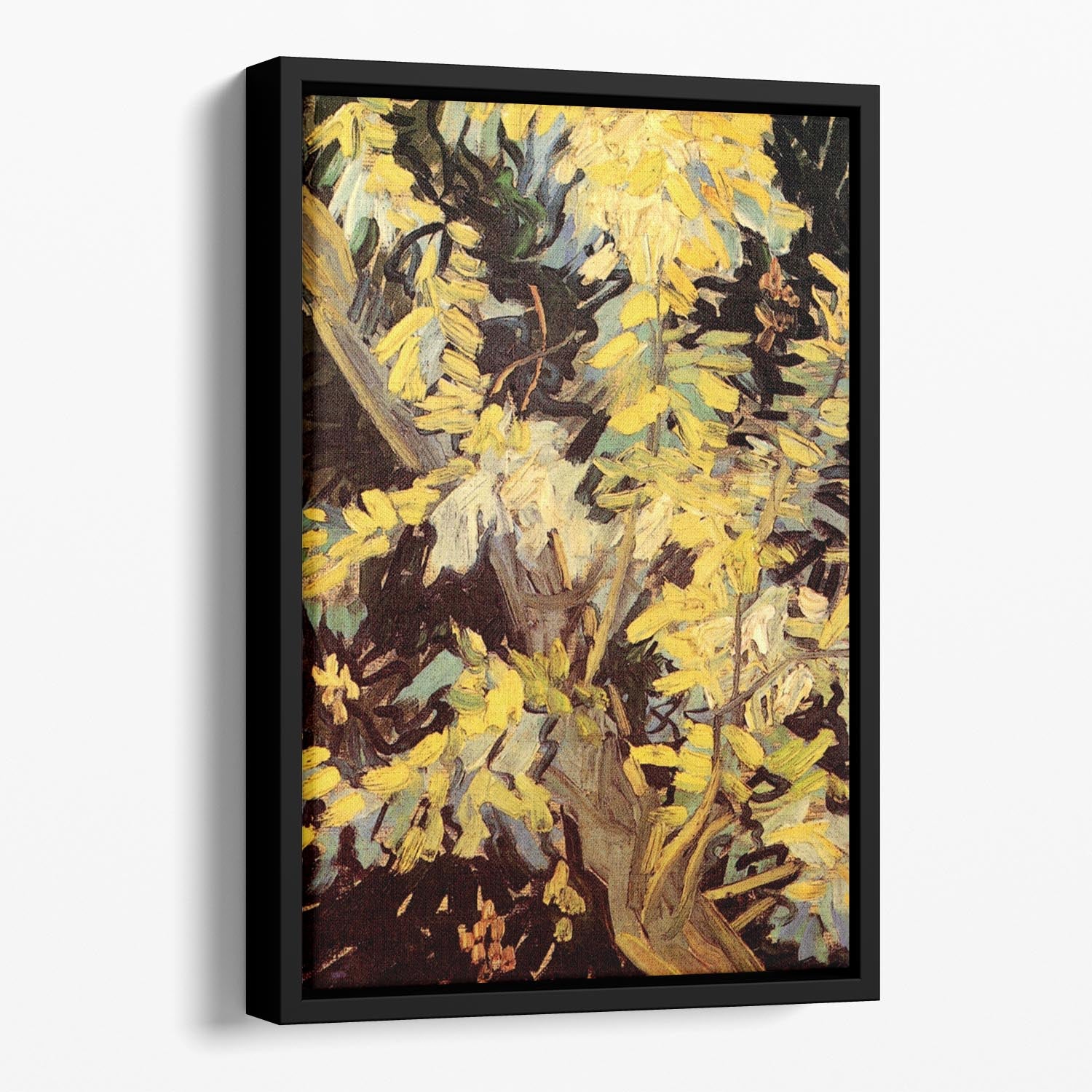 Blossoming Acacia Branches by Van Gogh Floating Framed Canvas