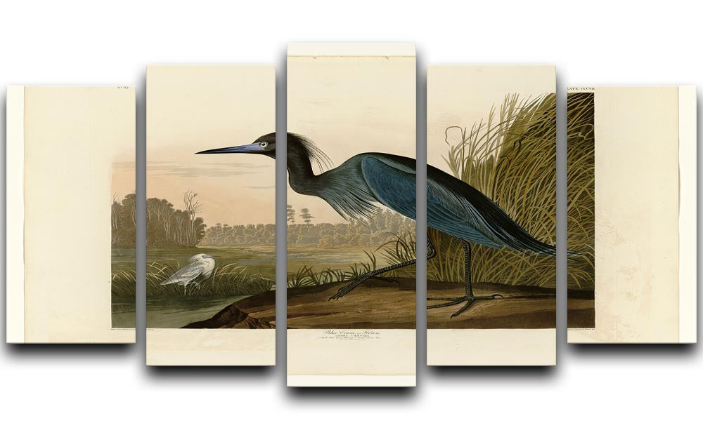 Blue Crane by Audubon 5 Split Panel Canvas - Canvas Art Rocks - 1
