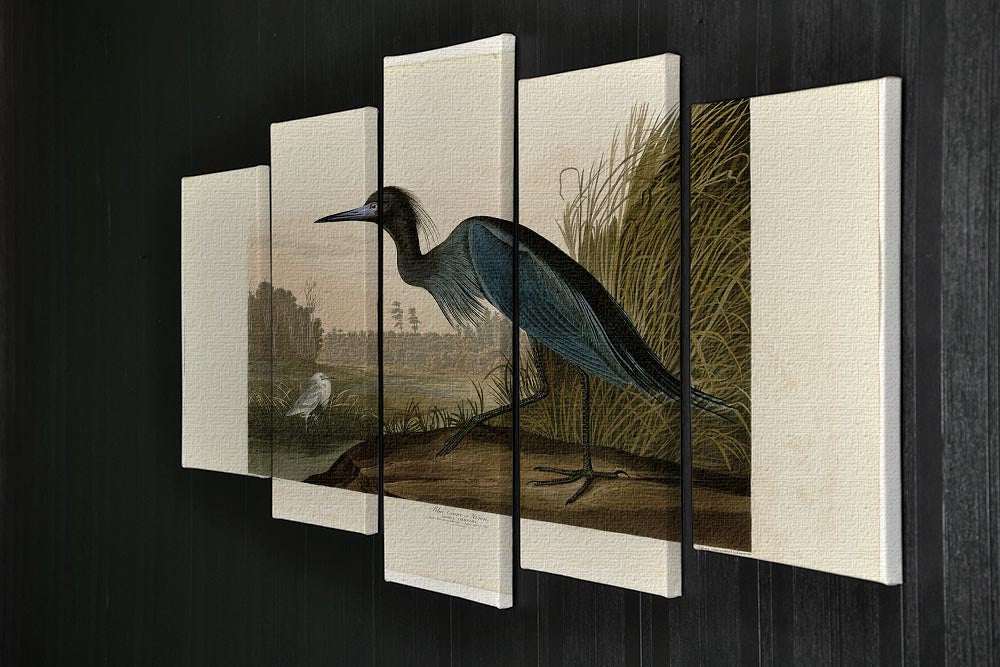 Blue Crane by Audubon 5 Split Panel Canvas - Canvas Art Rocks - 2