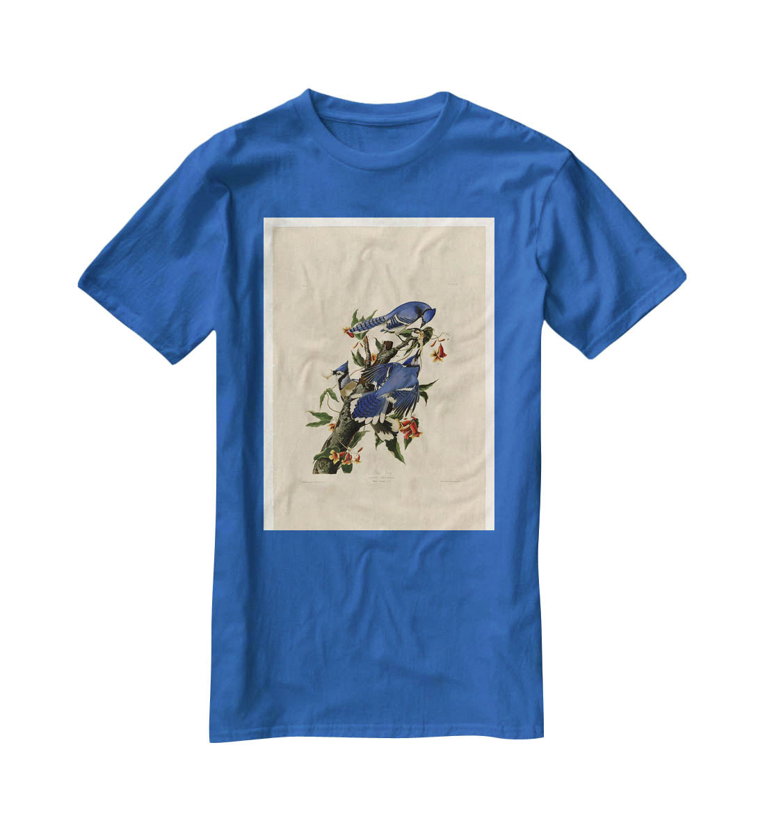 Blue Jay by Audubon T-Shirt - Canvas Art Rocks - 2