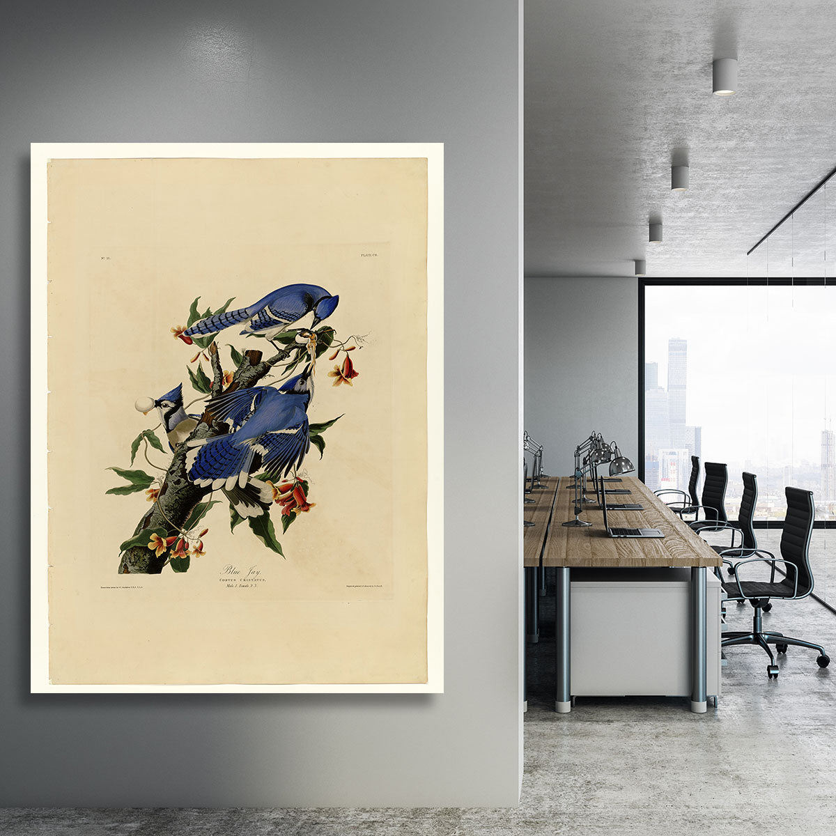 Blue Jay by Audubon Canvas Print or Poster - Canvas Art Rocks - 3