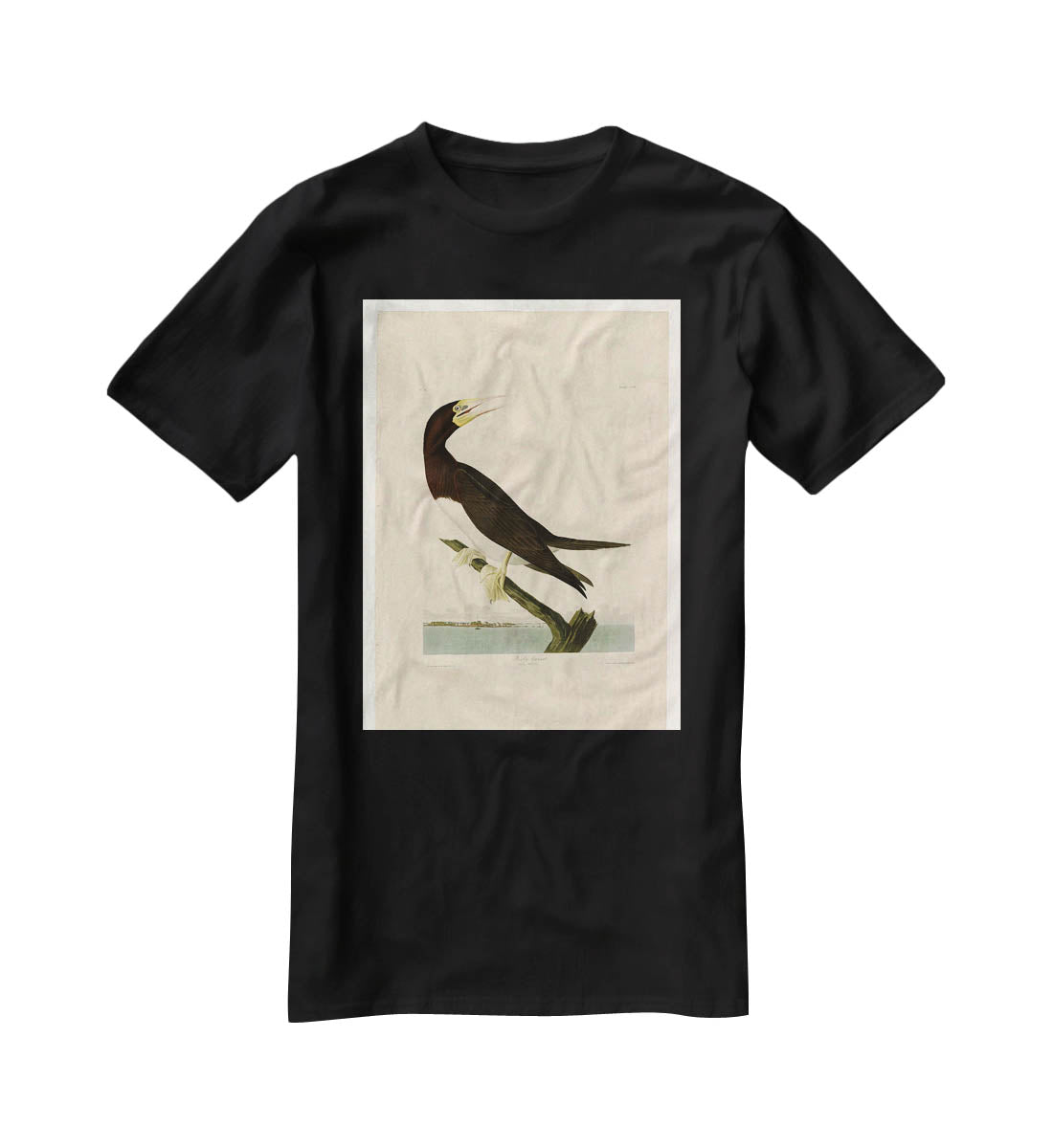 Booby Gannet by Audubon T-Shirt - Canvas Art Rocks - 1