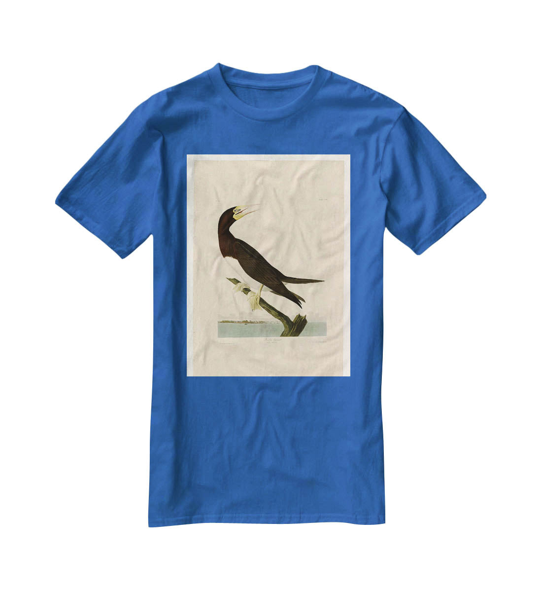 Booby Gannet by Audubon T-Shirt - Canvas Art Rocks - 2