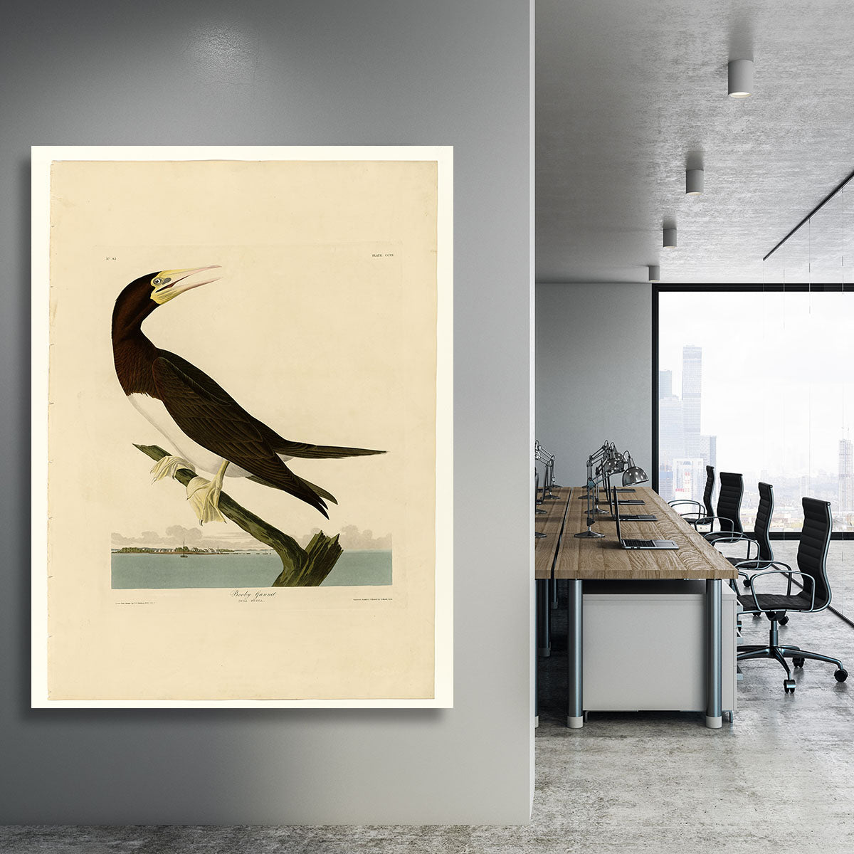 Booby Gannet by Audubon Canvas Print or Poster - Canvas Art Rocks - 3