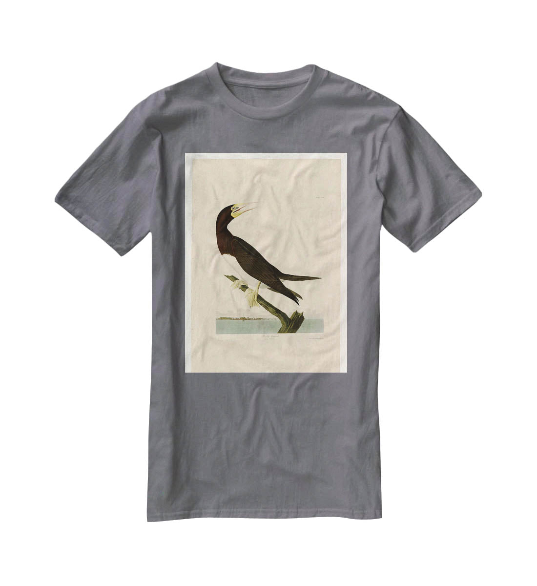Booby Gannet by Audubon T-Shirt - Canvas Art Rocks - 3