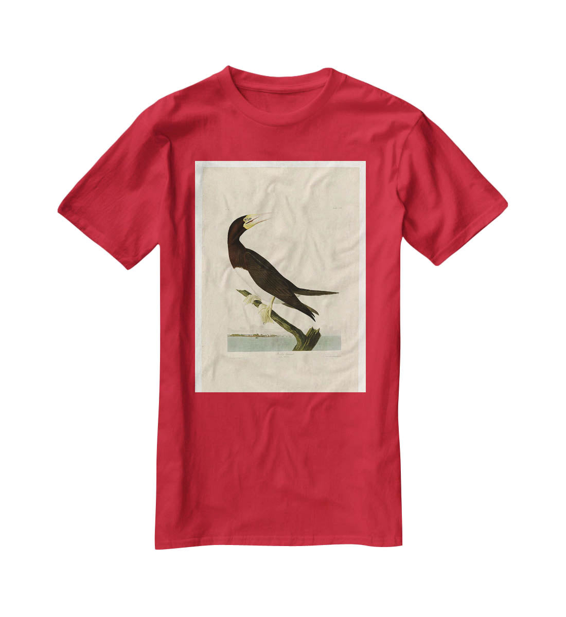 Booby Gannet by Audubon T-Shirt - Canvas Art Rocks - 4