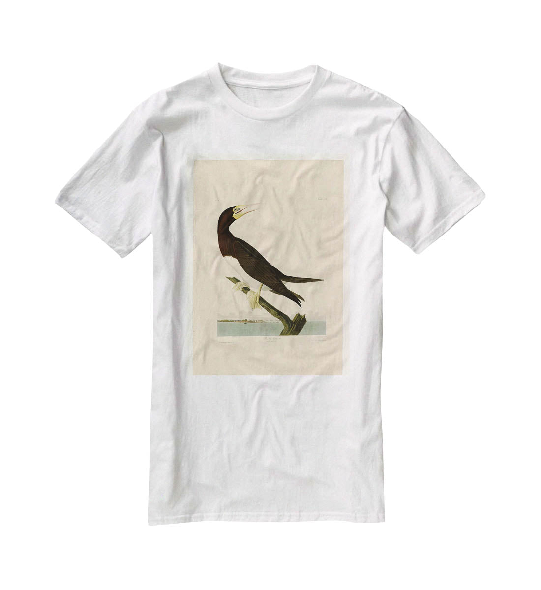 Booby Gannet by Audubon T-Shirt - Canvas Art Rocks - 5