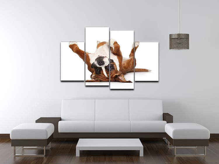 Boxer dog lying on his back 4 Split Panel Canvas - Canvas Art Rocks - 3