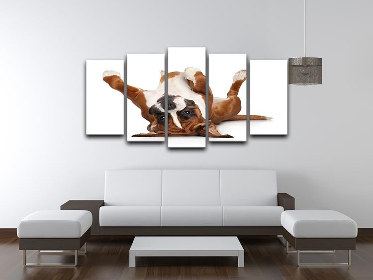 Boxer dog lying on his back 5 Split Panel Canvas - Canvas Art Rocks - 3