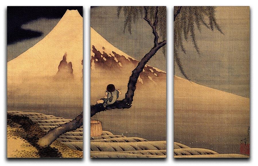 Boy in front of Fujiama by Hokusai 3 Split Panel Canvas Print - Canvas Art Rocks - 1