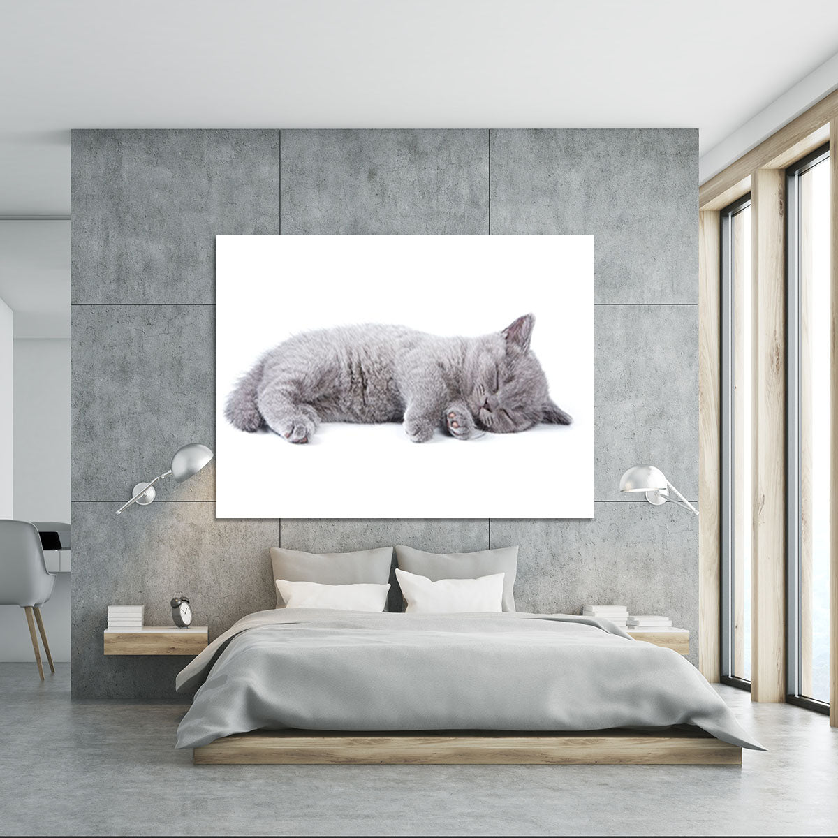 British kitten on white background Canvas Print or Poster - Canvas Art Rocks - 5