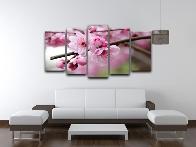 Broken blooming cherry branch 5 Split Panel Canvas  - Canvas Art Rocks - 3