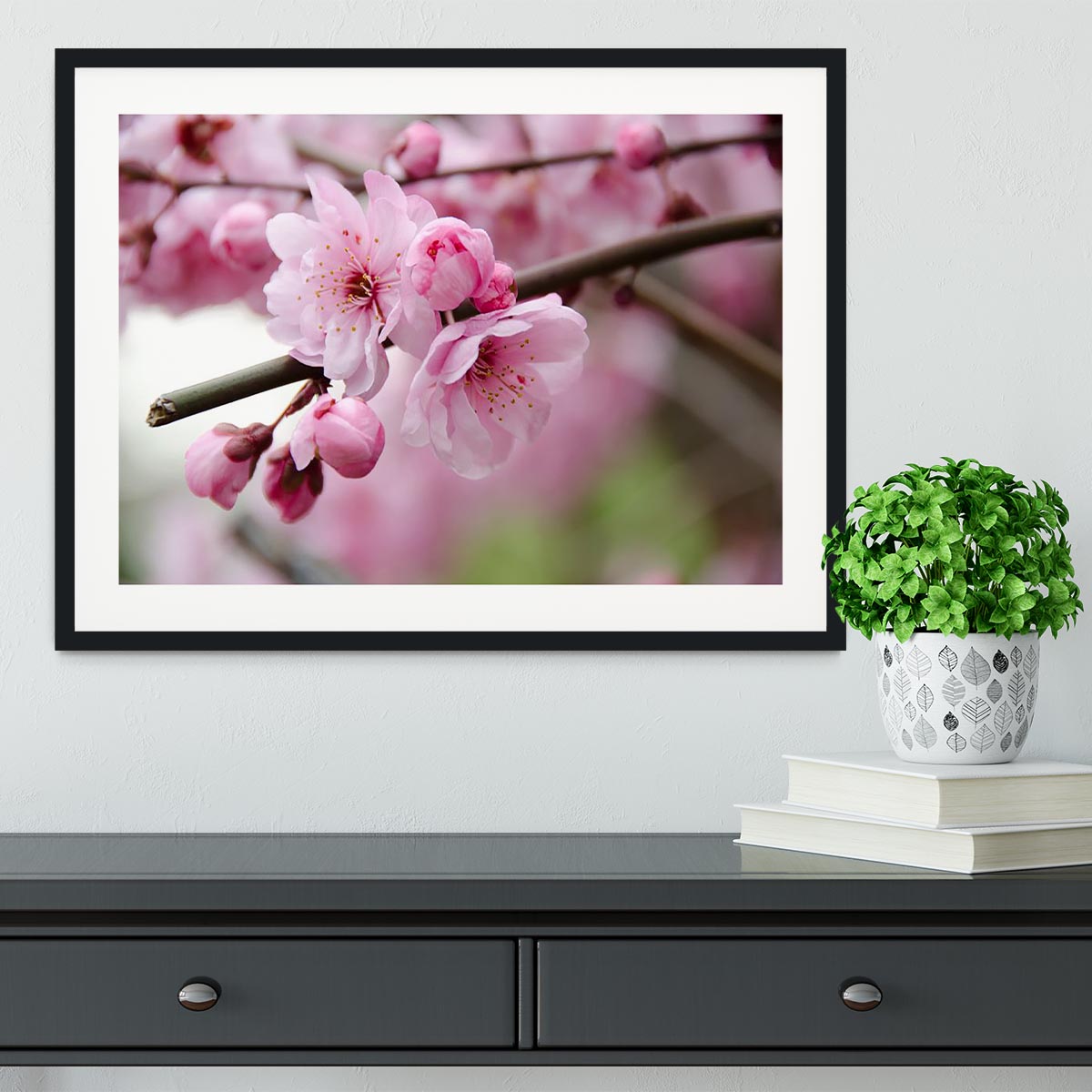 Broken blooming cherry branch Framed Print - Canvas Art Rocks - 1