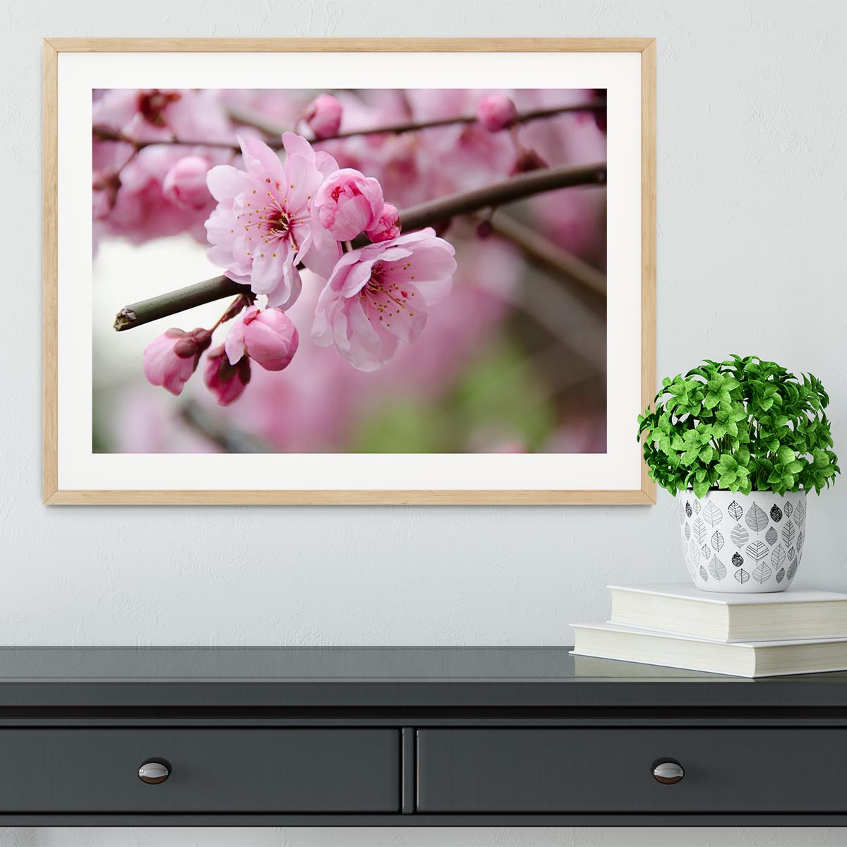 Broken blooming cherry branch Framed Print - Canvas Art Rocks - 3