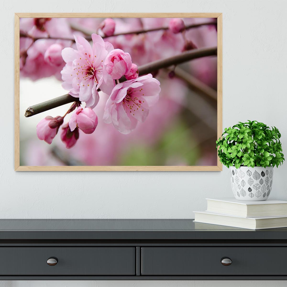 Broken blooming cherry branch Framed Print - Canvas Art Rocks - 4