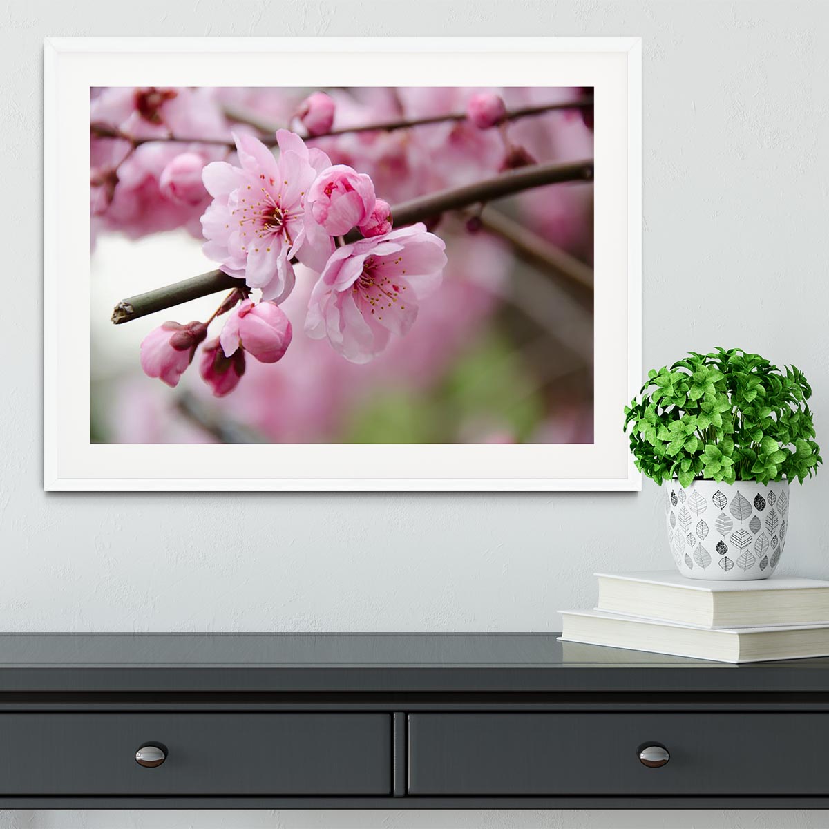 Broken blooming cherry branch Framed Print - Canvas Art Rocks - 5