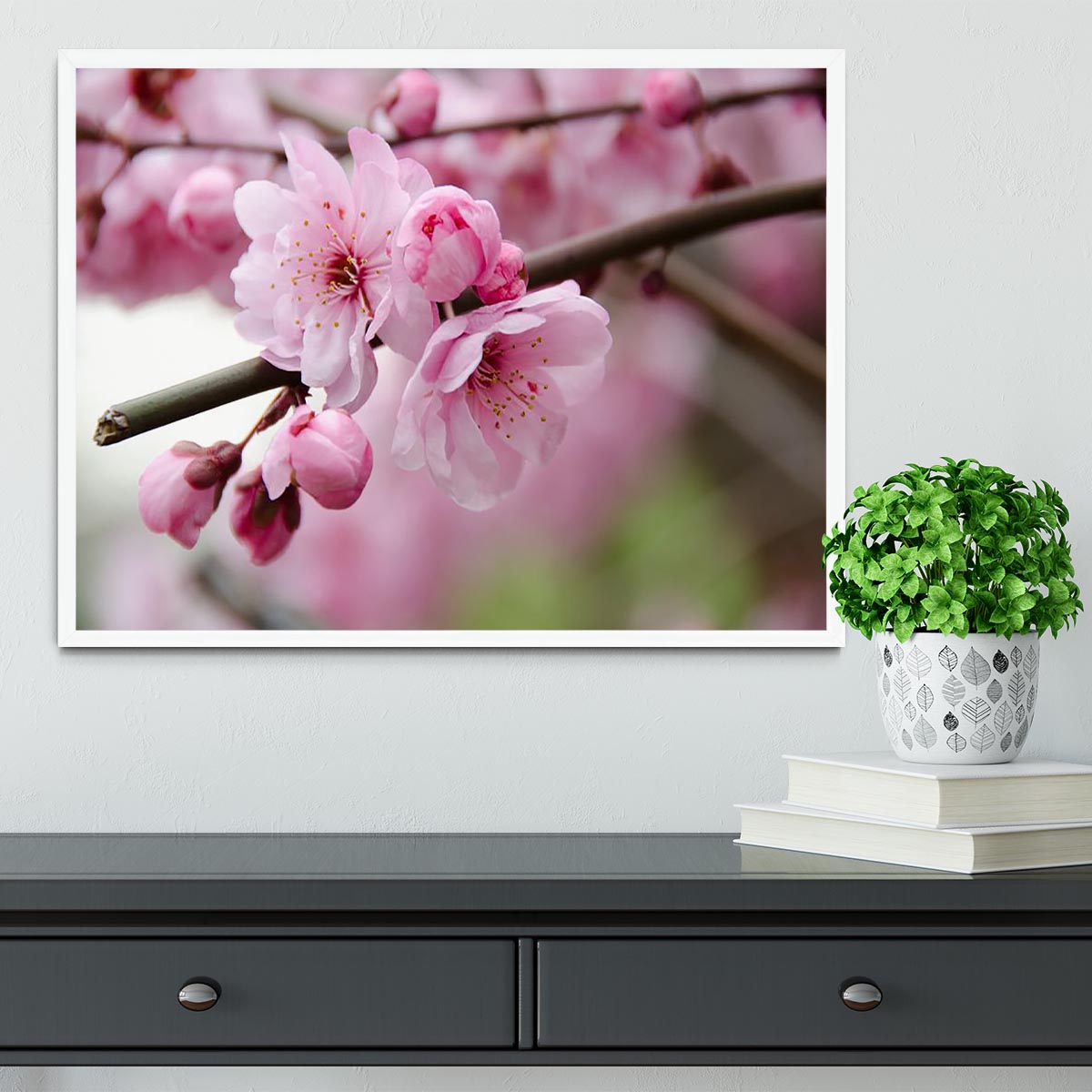 Broken blooming cherry branch Framed Print - Canvas Art Rocks -6