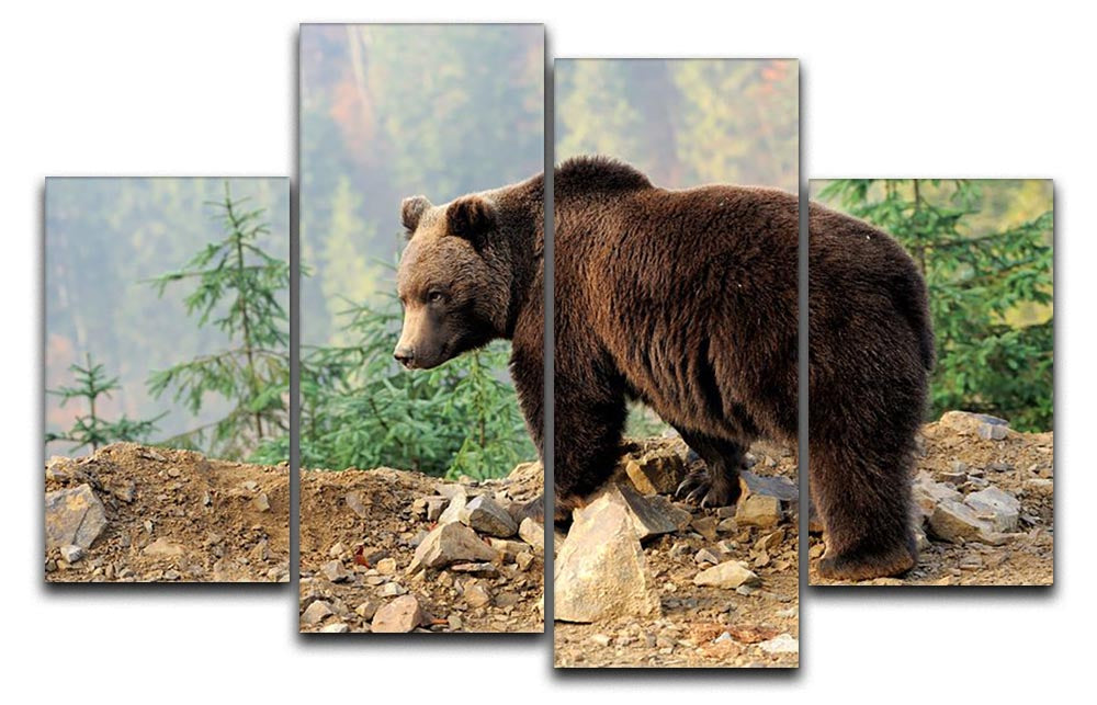 Brown Bear in forest 4 Split Panel Canvas - Canvas Art Rocks - 1