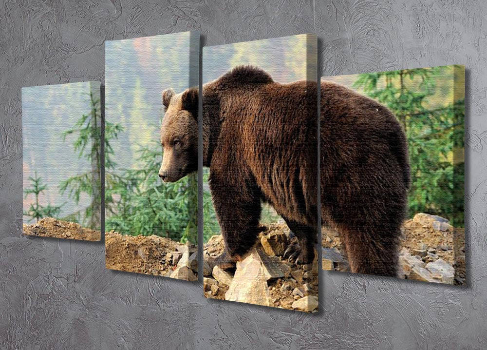 Brown Bear in forest 4 Split Panel Canvas - Canvas Art Rocks - 2