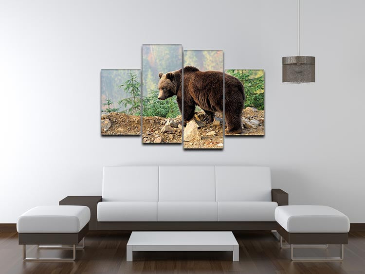 Brown Bear in forest 4 Split Panel Canvas - Canvas Art Rocks - 3