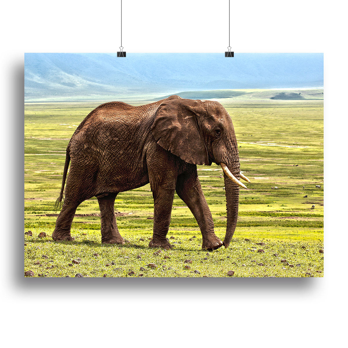 Brown Elephant Canvas Print or Poster - Canvas Art Rocks - 2