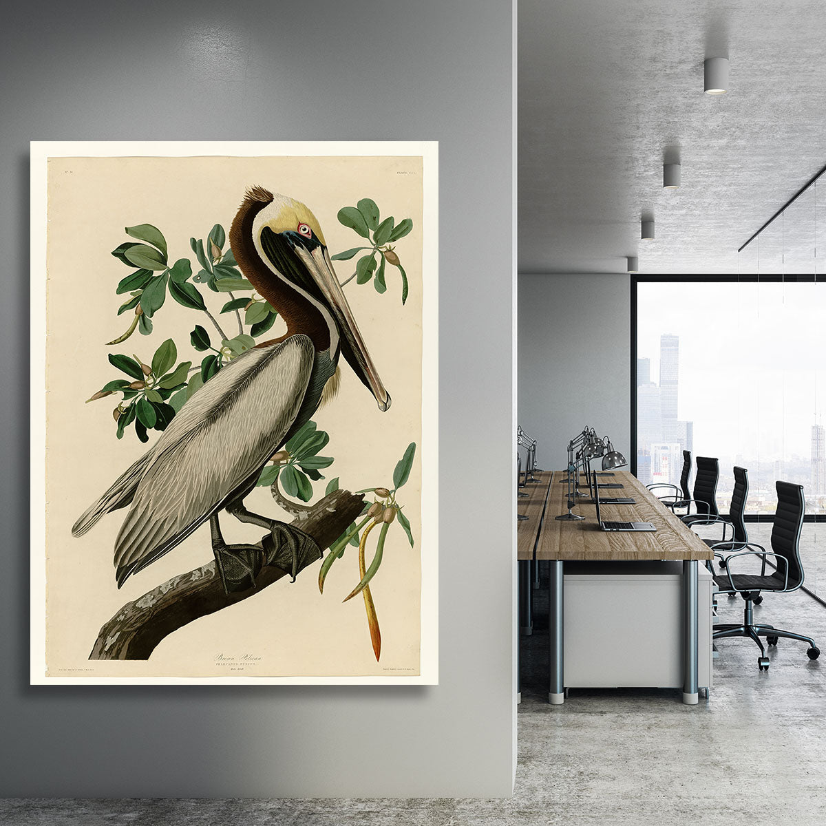 Brown Pelican 2 by Audubon Canvas Print or Poster - Canvas Art Rocks - 3