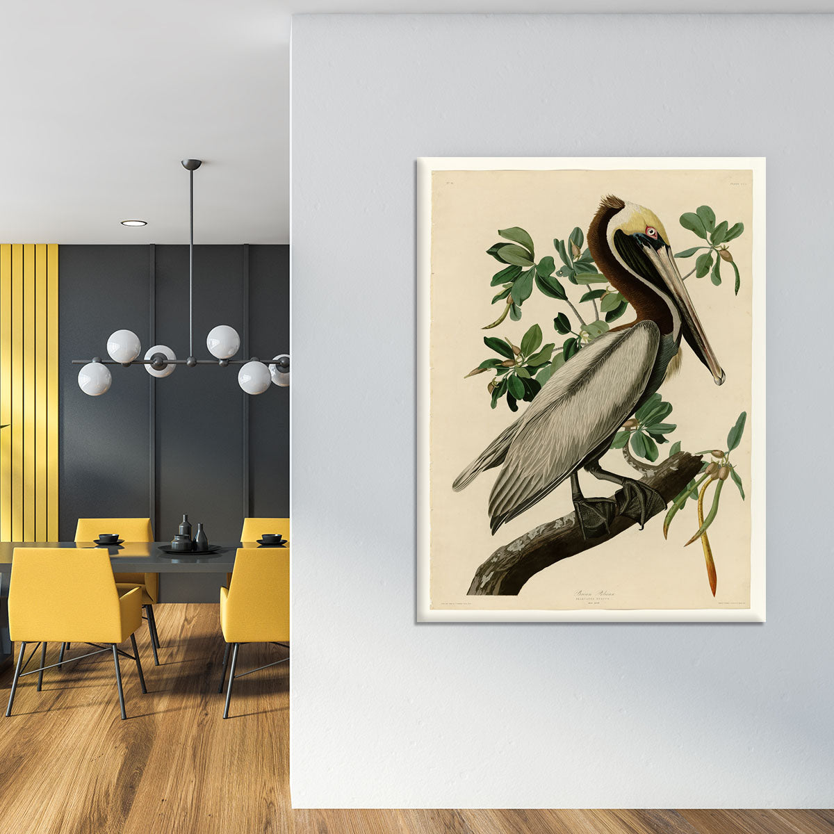 Brown Pelican 2 by Audubon Canvas Print or Poster - Canvas Art Rocks - 4