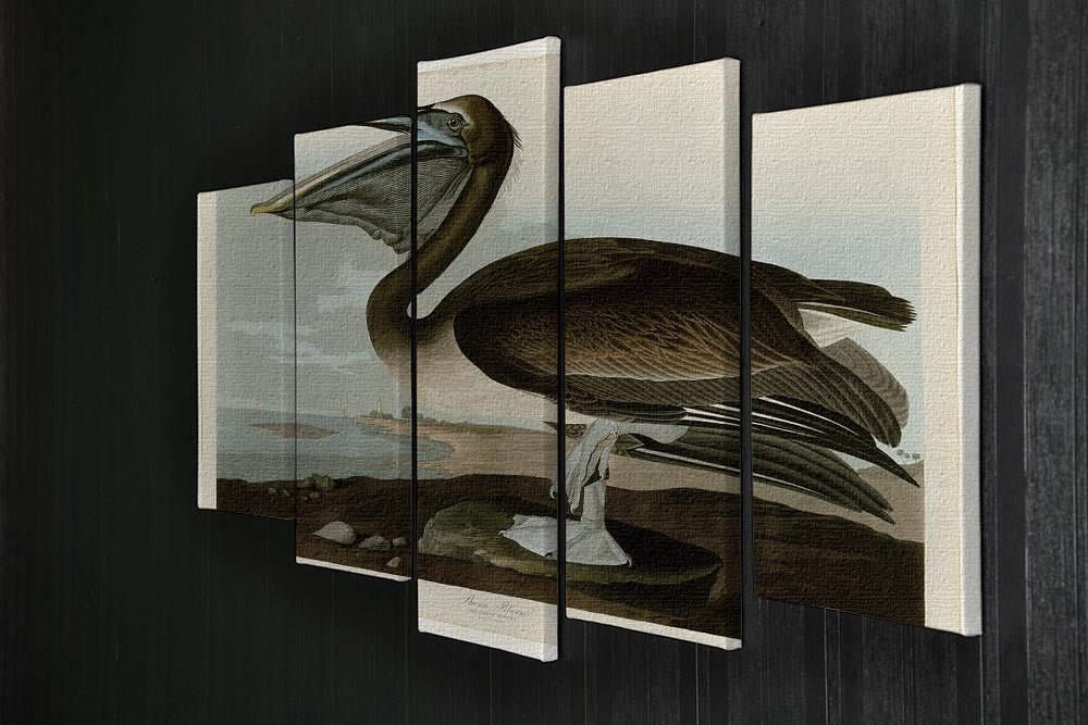 Brown Pelican by Audubon 5 Split Panel Canvas - Canvas Art Rocks - 2