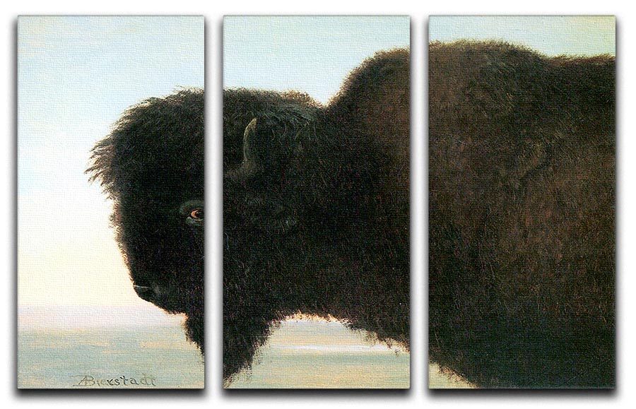 Buffalo Head by Bierstadt 3 Split Panel Canvas Print - Canvas Art Rocks - 1
