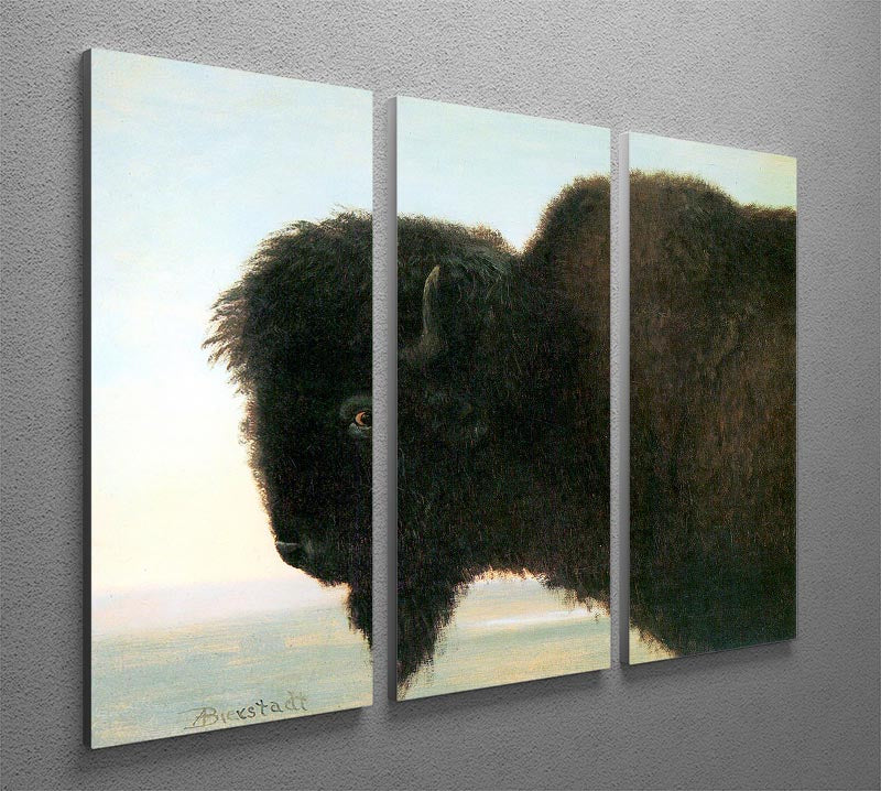 Buffalo Head by Bierstadt 3 Split Panel Canvas Print - Canvas Art Rocks - 2