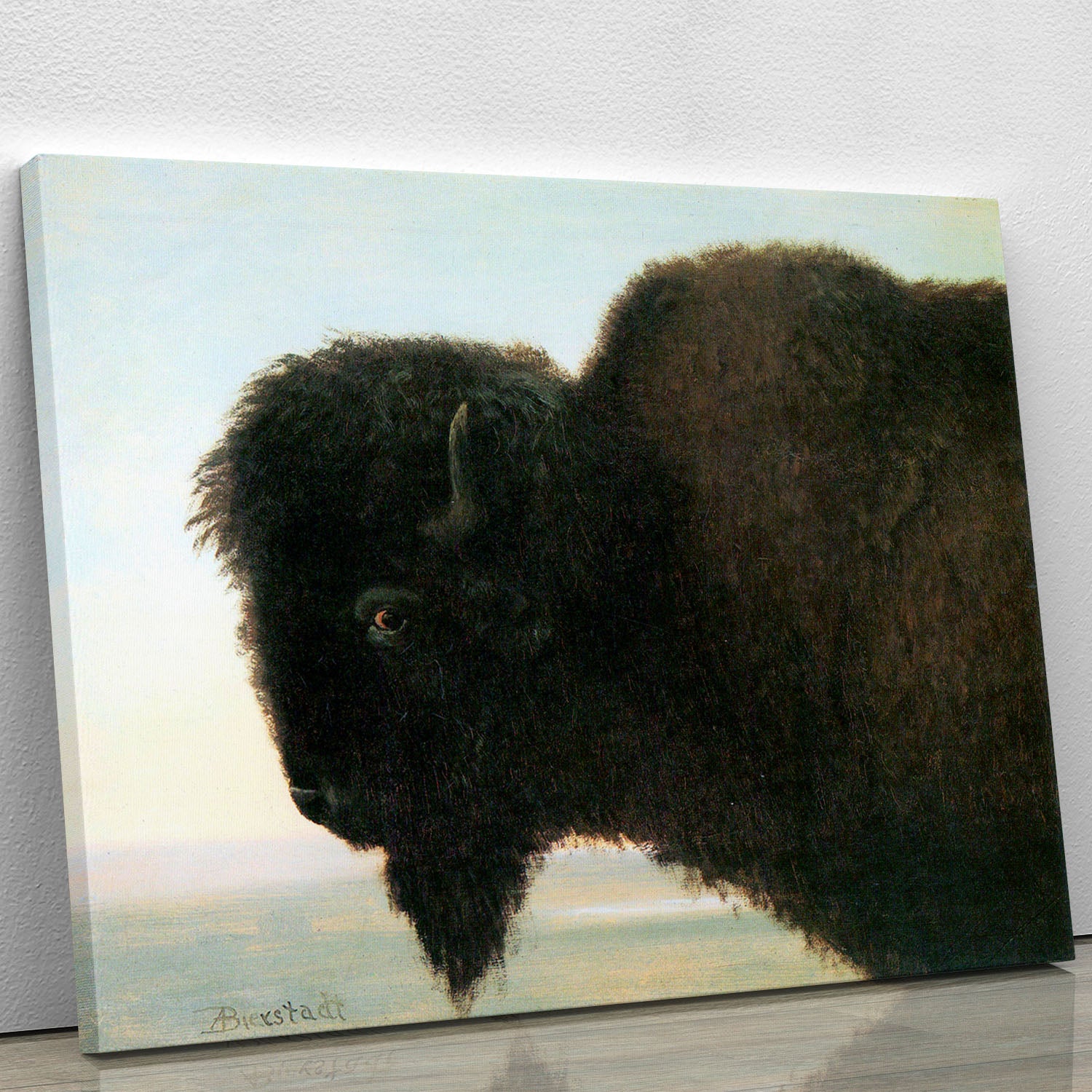 Buffalo Head by Bierstadt Canvas Print or Poster - Canvas Art Rocks - 1