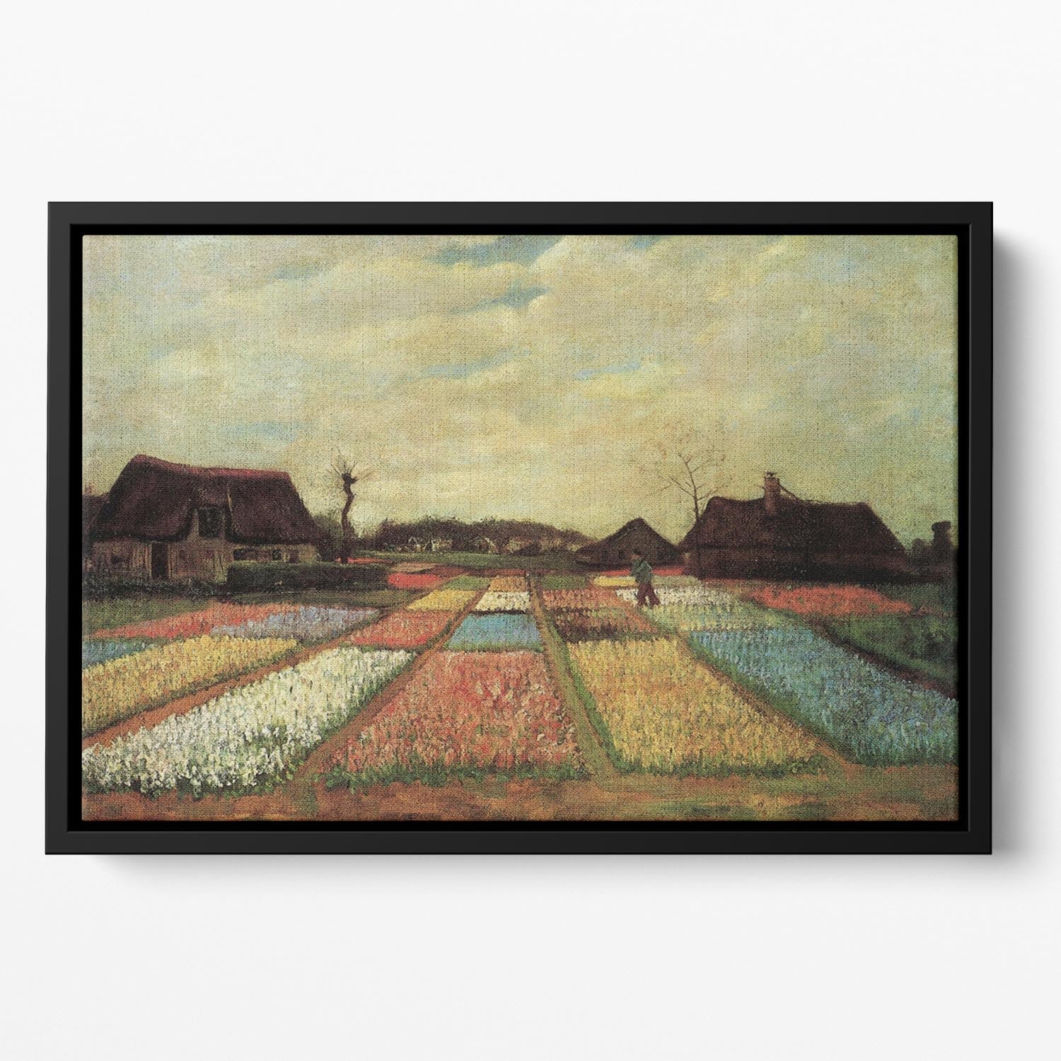 Bulb Fields by Van Gogh Floating Framed Canvas