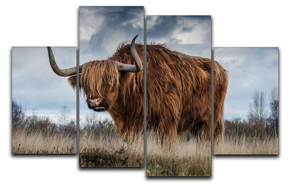 Bull 4 Split Panel Canvas