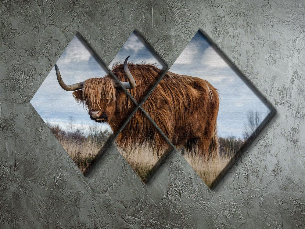 Bull 4 Square Multi Panel Canvas