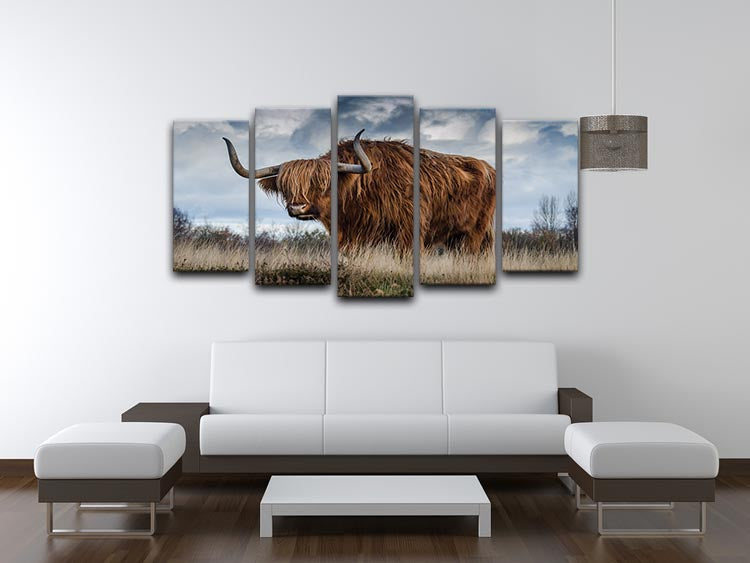 Bull 5 Split Panel Canvas