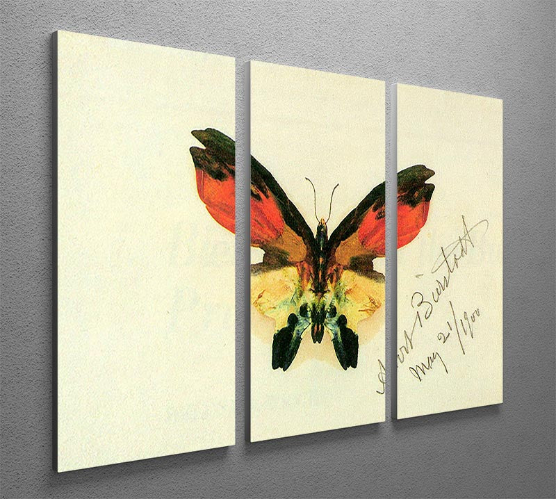 Butterfly 2 by Bierstadt 3 Split Panel Canvas Print - Canvas Art Rocks - 2