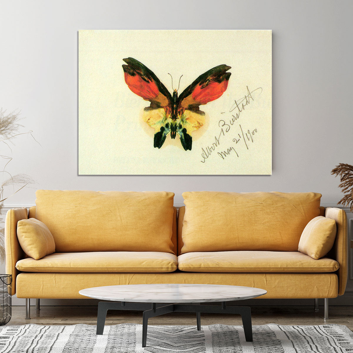 Butterfly 2 by Bierstadt Canvas Print or Poster - Canvas Art Rocks - 4