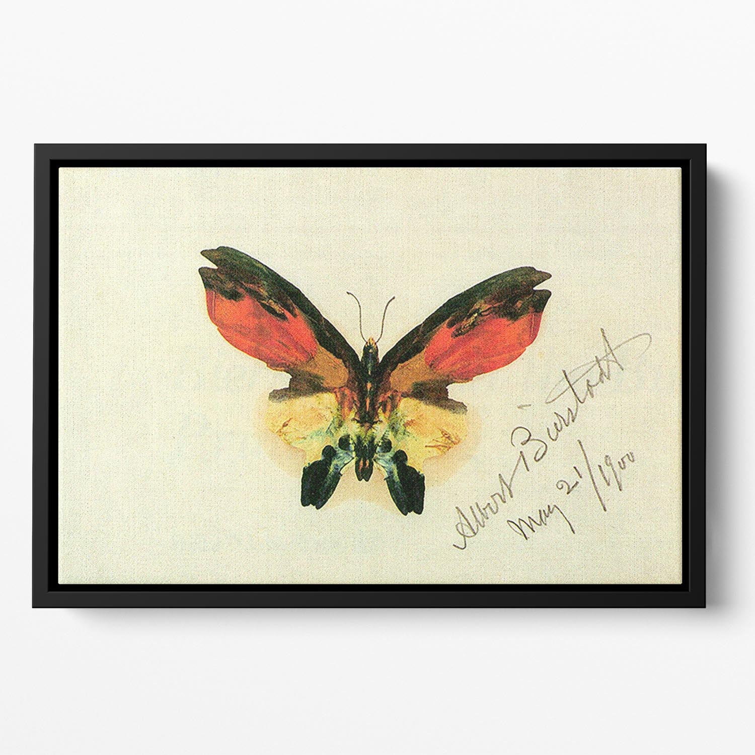 Butterfly 2 by Bierstadt Floating Framed Canvas - Canvas Art Rocks - 2