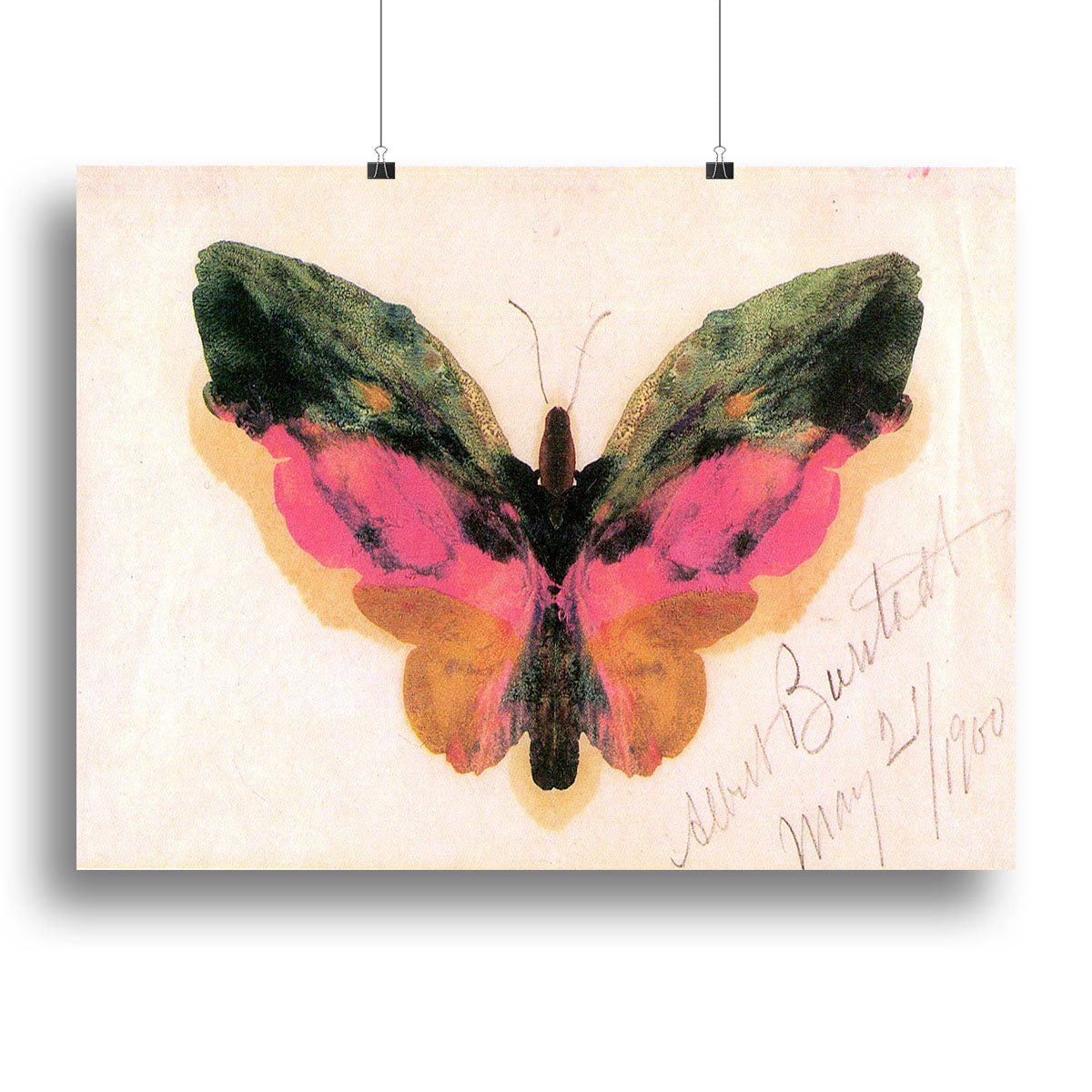 Butterfly by Bierstadt Canvas Print or Poster - Canvas Art Rocks - 2