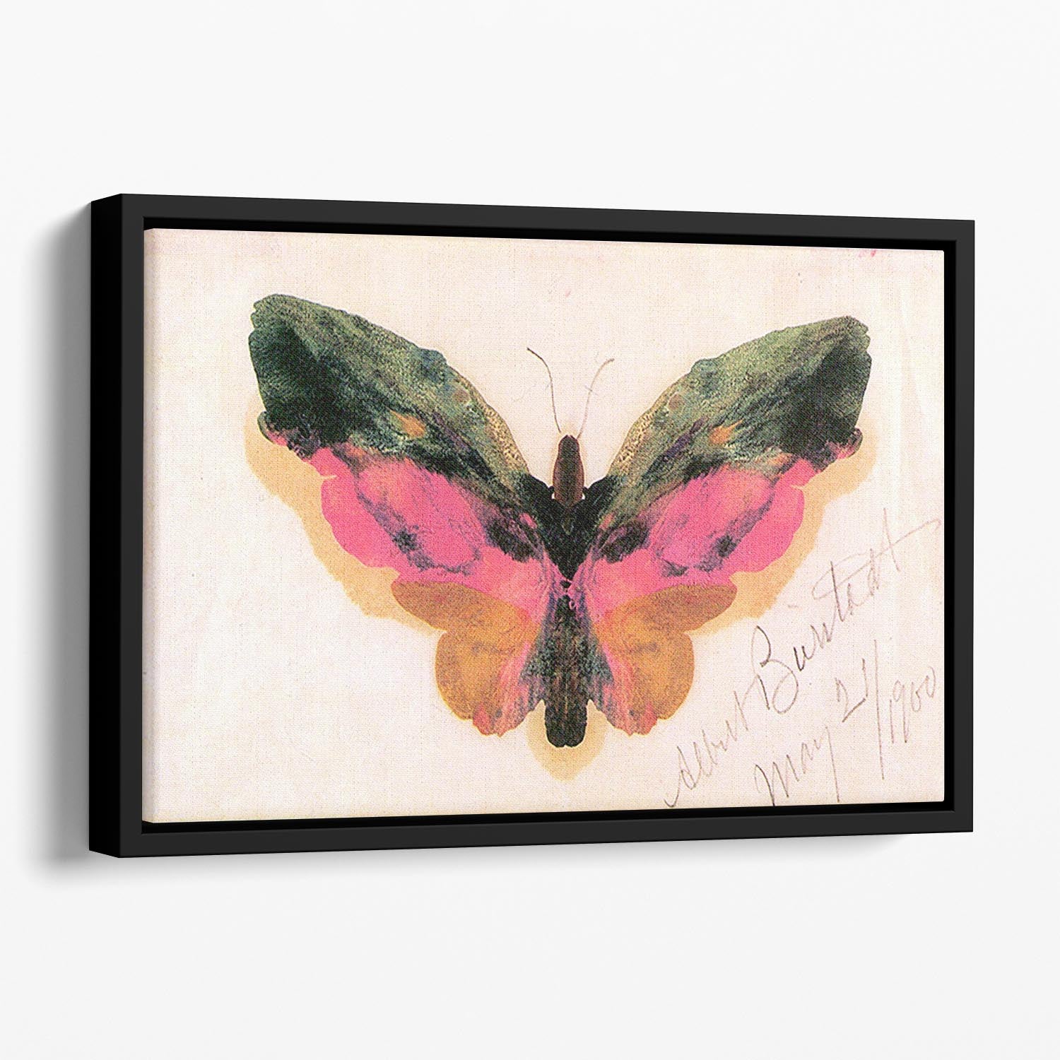 Butterfly by Bierstadt Floating Framed Canvas - Canvas Art Rocks - 1