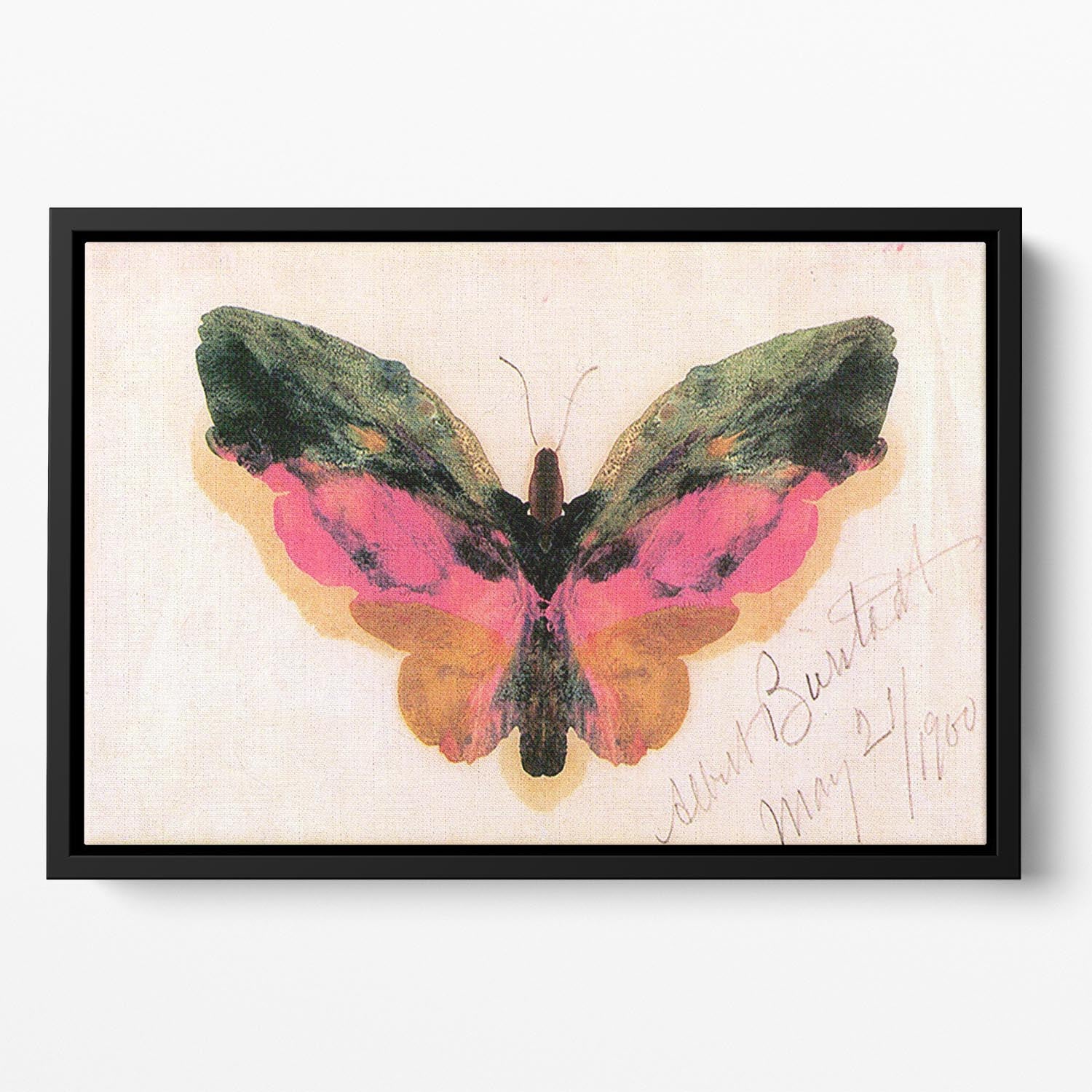 Butterfly by Bierstadt Floating Framed Canvas - Canvas Art Rocks - 2
