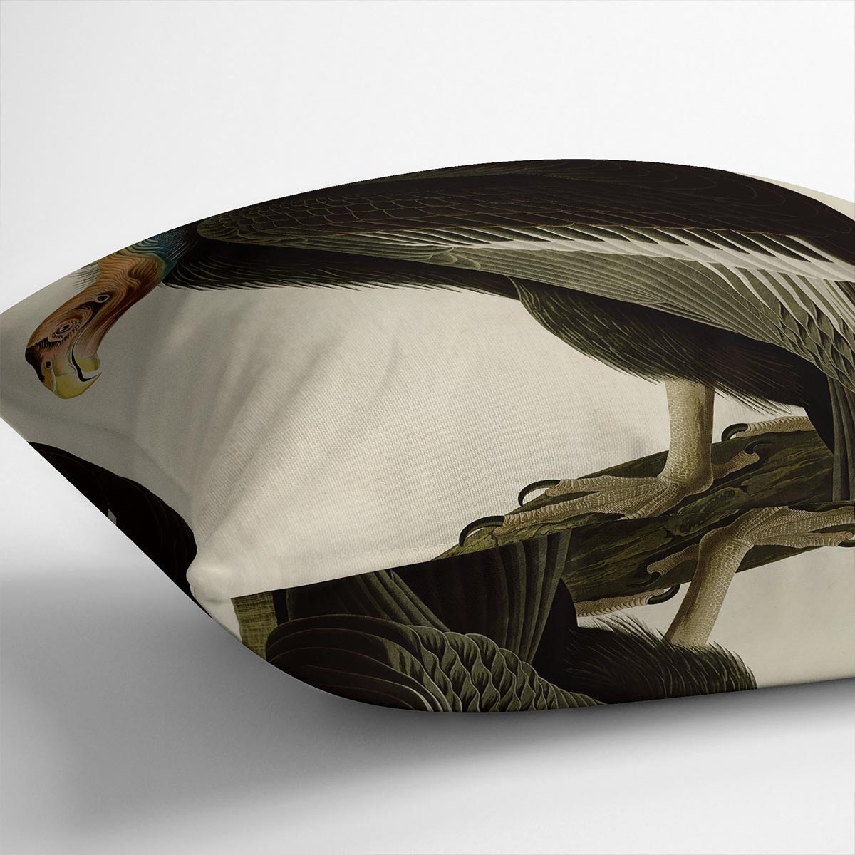 Californian Vulture by Audubon Cushion