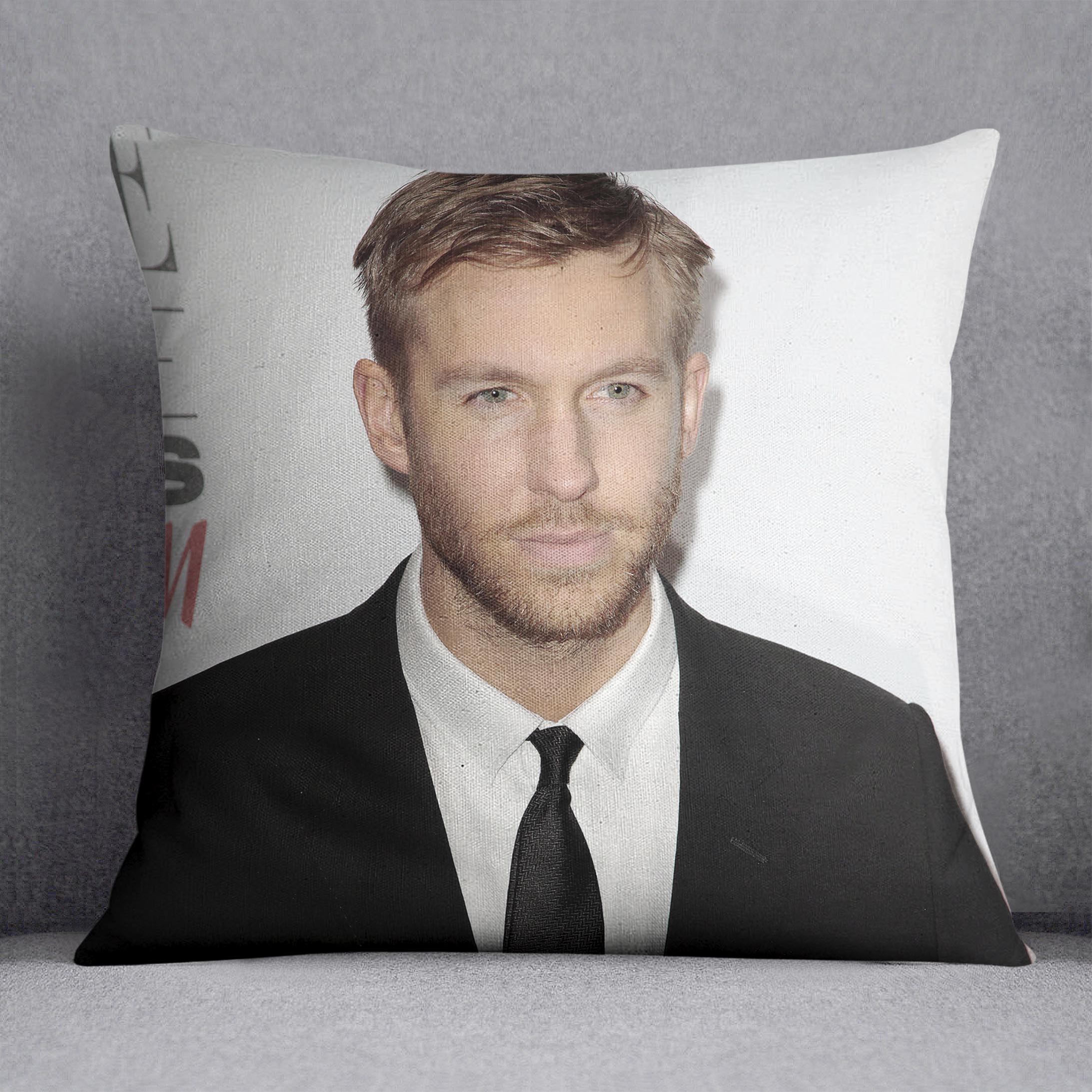 Calvin Harris in a tie Cushion