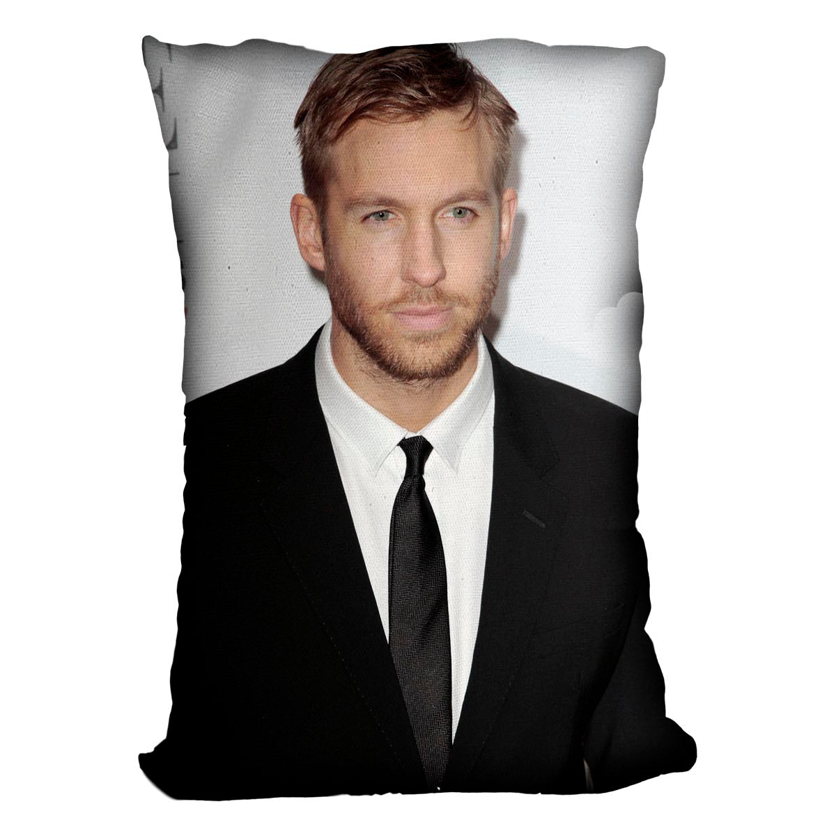 Calvin Harris in a tie Cushion