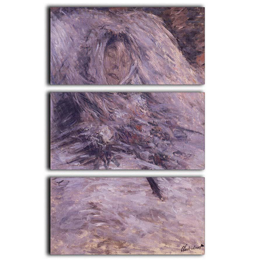 Camille Monet sur son lit de mort by Monet 3 Split Panel Canvas Print - Canvas Art Rocks - 1